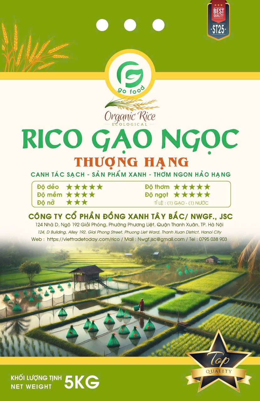 rico gạo ngọc